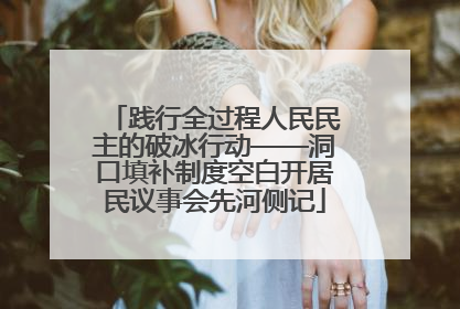 践行全过程人民民主的破冰行动——洞口填补制度空白开居民议事会先河侧记