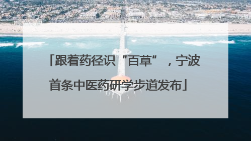 跟着药径识“百草”，宁波首条中医药研学步道发布