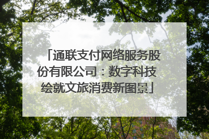 通联支付网络服务股份有限公司：数字科技绘就文旅消费新图景