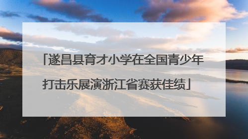 遂昌县育才小学在全国青少年打击乐展演浙江省赛获佳绩
