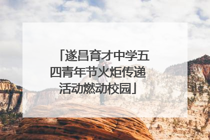 遂昌育才中学五四青年节火炬传递活动燃动校园