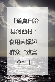 道真自治县河西村：食用菌撑起群众“致富伞”