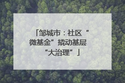 邹城市：社区“微基金”撬动基层“大治理”