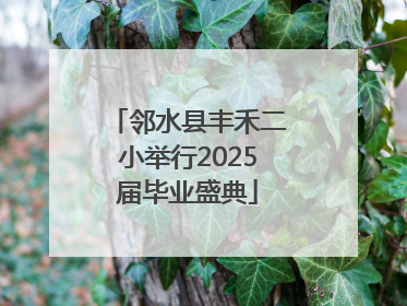 邻水县丰禾二小举行2025届毕业盛典