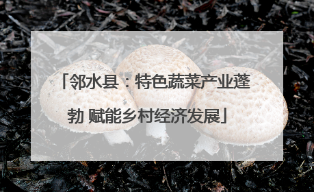 邻水县：特色蔬菜产业蓬勃 赋能乡村经济发展