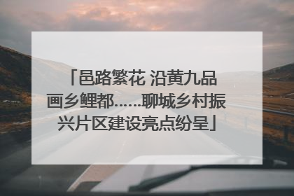 邑路繁花 沿黄九品 画乡鲤都……聊城乡村振兴片区建设亮点纷呈