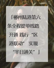 郴州陆港第六条全程提单线路开通 践行“区港联动” 实现“半日通关”