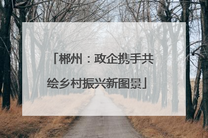 郴州：政企携手共绘乡村振兴新图景