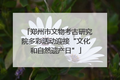 郑州市文物考古研究院多彩活动迎接“文化和自然遗产日”