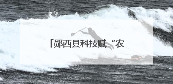 郧西县科技赋“农”“智”绘新画卷