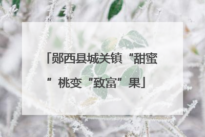 郧西县城关镇“甜蜜”桃变“致富”果