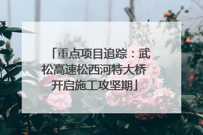 重点项目追踪：武松高速松西河特大桥开启施工攻坚期