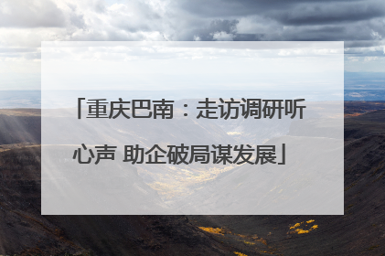 重庆巴南：走访调研听心声 助企破局谋发展