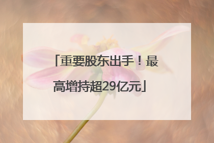 重要股东出手！最高增持超29亿元