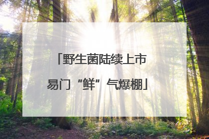 野生菌陆续上市 易门“鲜”气爆棚