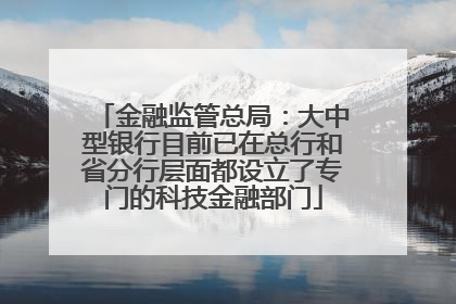 金融监管总局：大中型银行目前已在总行和省分行层面都设立了专门的科技金融部门