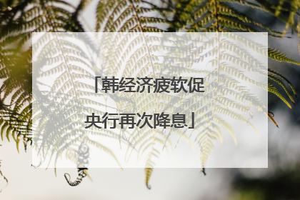 韩经济疲软促央行再次降息