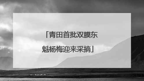 青田首批双膜东魁杨梅迎来采摘