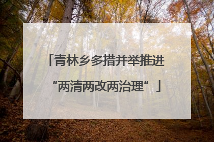 青林乡多措并举推进“两清两改两治理”