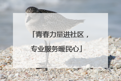 青春力量进社区，专业服务暖民心
