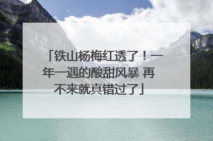铁山杨梅红透了！一年一遇的酸甜风暴 再不来就真错过了