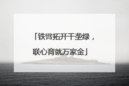 铁臂拓开千垄绿，联心育就万家金