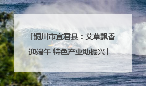 铜川市宜君县：艾草飘香迎端午 特色产业助振兴