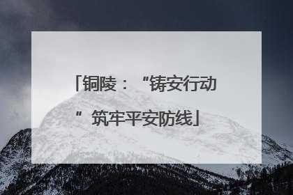 铜陵：“铸安行动”筑牢平安防线