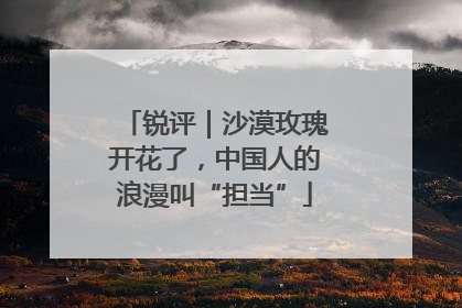 锐评｜沙漠玫瑰开花了，中国人的浪漫叫“担当”