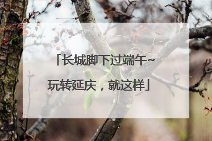 长城脚下过端午~玩转延庆，就这样