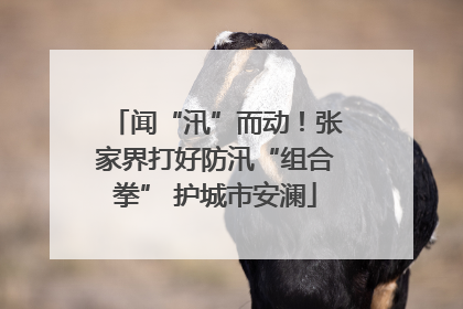 闻“汛”而动！张家界打好防汛“组合拳” 护城市安澜