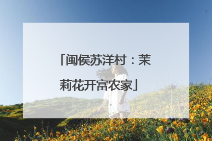 闽侯苏洋村：茉莉花开富农家