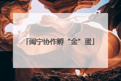 闽宁协作孵“金”蛋