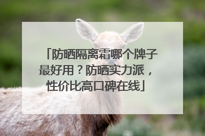 防晒隔离霜哪个牌子最好用？防晒实力派，性价比高口碑在线
