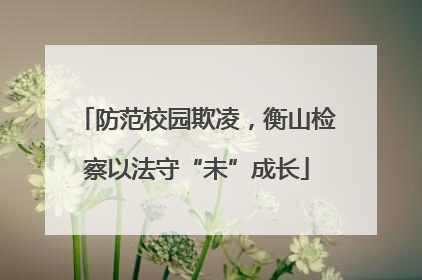 防范校园欺凌，衡山检察以法守“未”成长