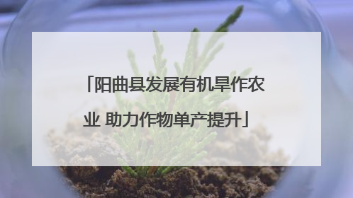 阳曲县发展有机旱作农业 助力作物单产提升