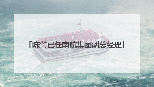 陈詟已任南航集团副总经理