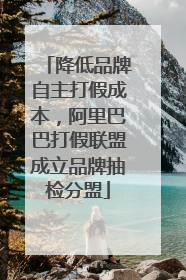 降低品牌自主打假成本，阿里巴巴打假联盟成立品牌抽检分盟