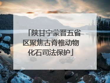 陕甘宁蒙晋五省区聚焦古脊椎动物化石司法保护