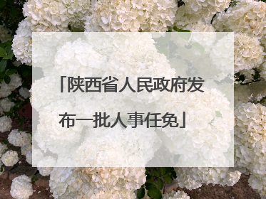 陕西省人民政府发布一批人事任免