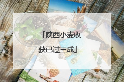 陕西小麦收获已过三成