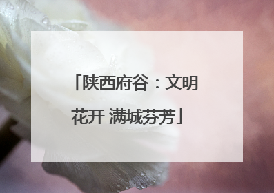 陕西府谷：文明花开 满城芬芳