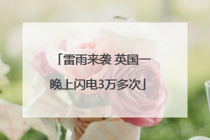 雷雨来袭 英国一晚上闪电3万多次