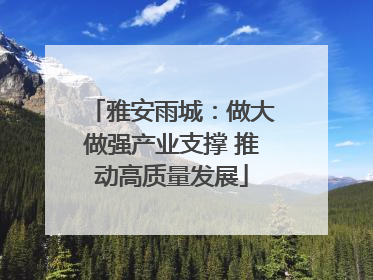 雅安雨城：做大做强产业支撑 推动高质量发展