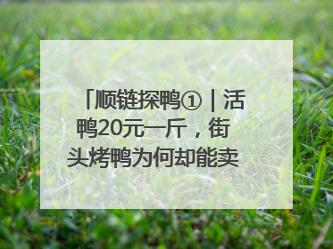 顺链探鸭①｜活鸭20元一斤，街头烤鸭为何却能卖到20多元一只