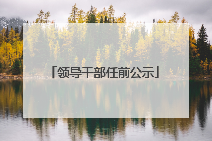 领导干部任前公示