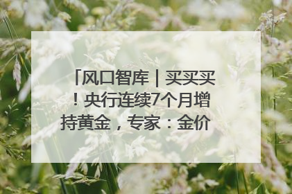 风口智库｜买买买！央行连续7个月增持黄金，专家：金价或仍易涨难跌