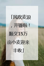 风吹麦浪，开镰啦！顺义15万亩小麦迎来丰收