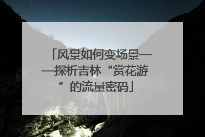 风景如何变场景——探析吉林“赏花游”的流量密码
