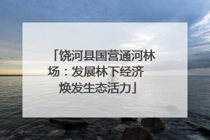 饶河县国营通河林场：发展林下经济 焕发生态活力